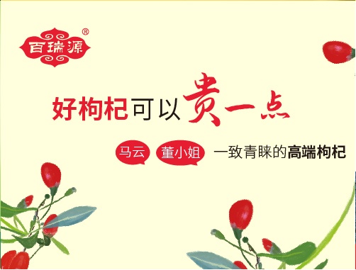 企业品牌案例 04