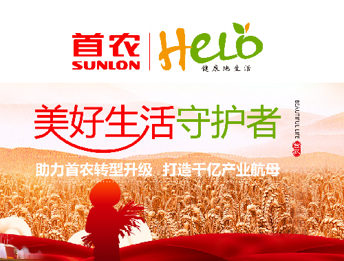 企业品牌案例 06