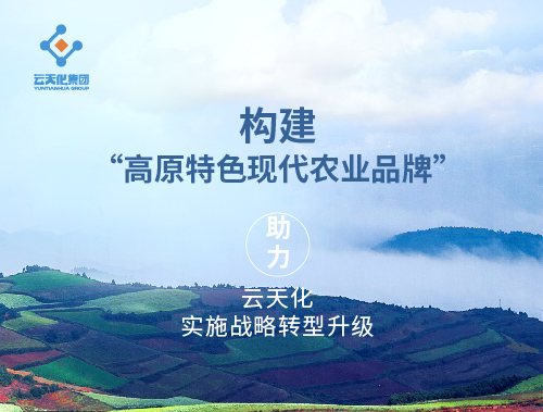 企业品牌案例 07