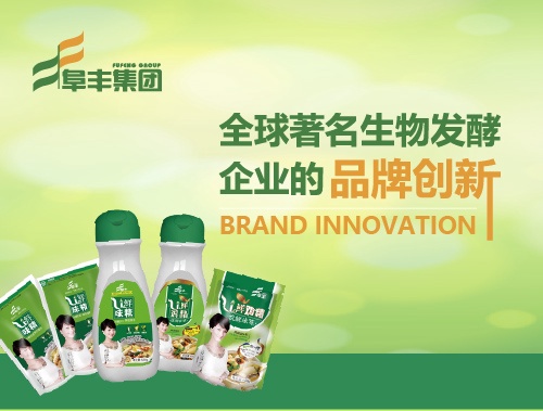 广西山茶油