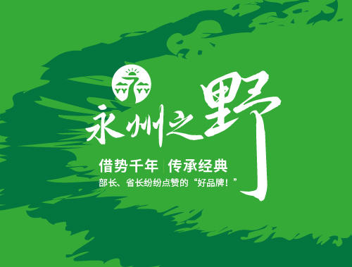 区域品牌案例 02