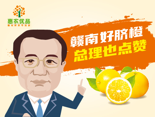 区域品牌案例 04
